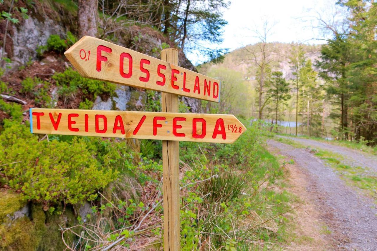 Fosseland Gjestegard Feda エクステリア 写真